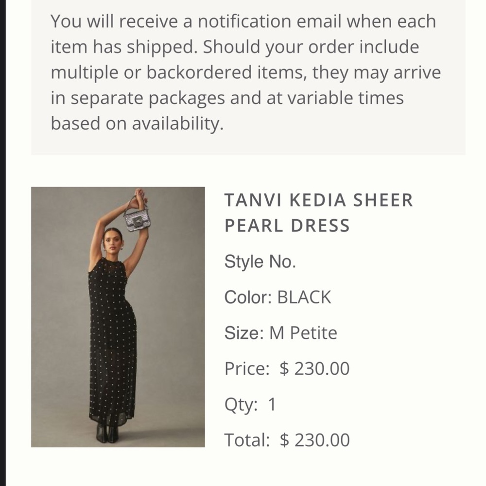 TANVI KEDIA Sheer Pearl Dress.